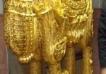 Family of golden camels for sale