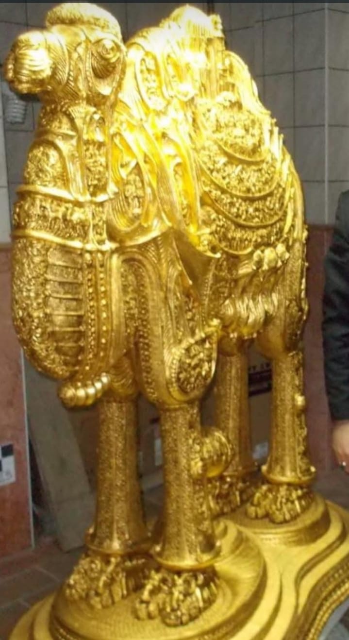 Family of golden camels for sale
